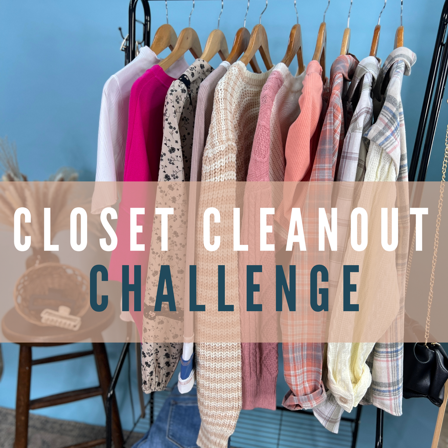Closet Cleanout Challenge