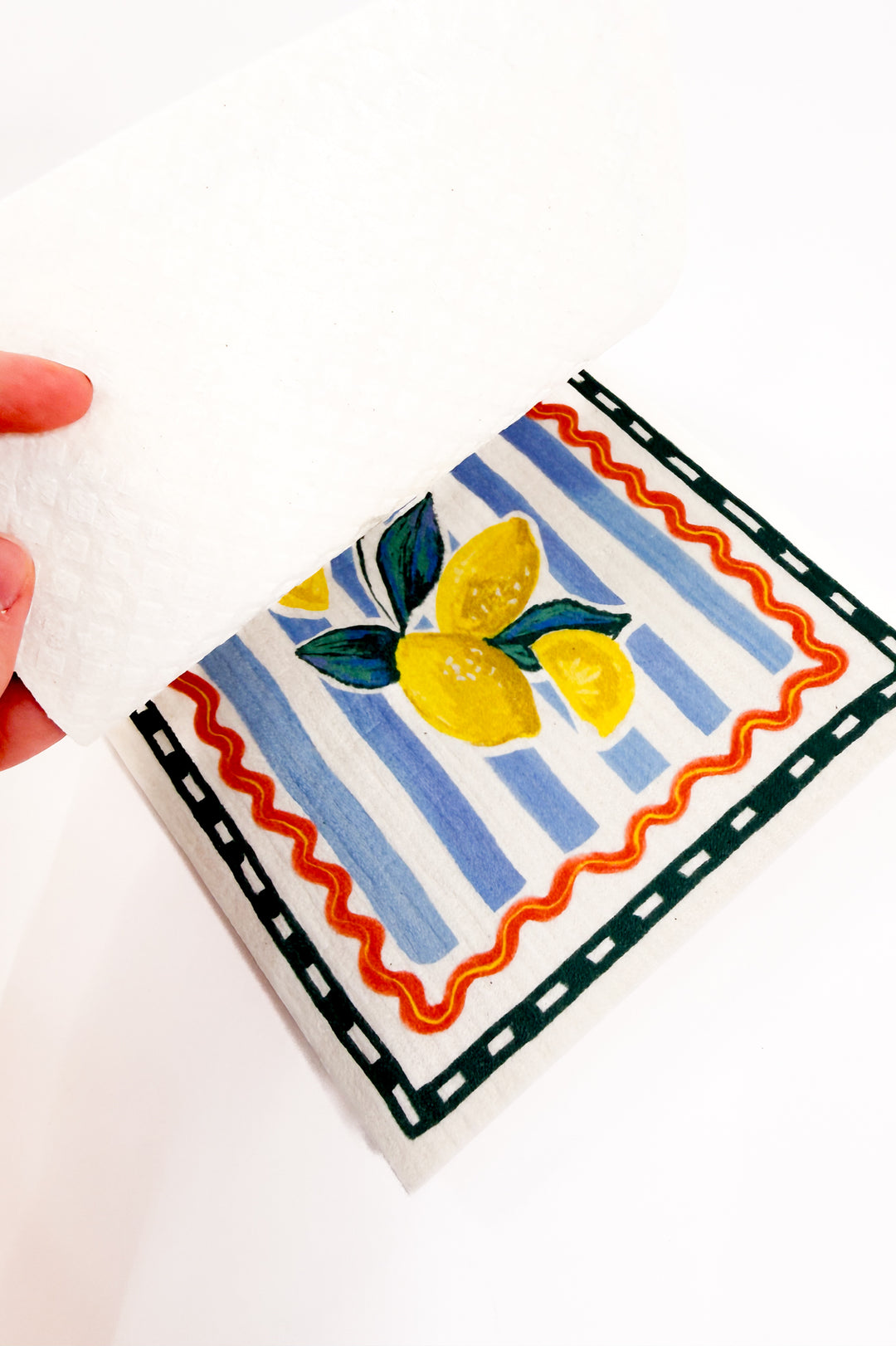 Italian Coastal Swedish Cloth Set of 3