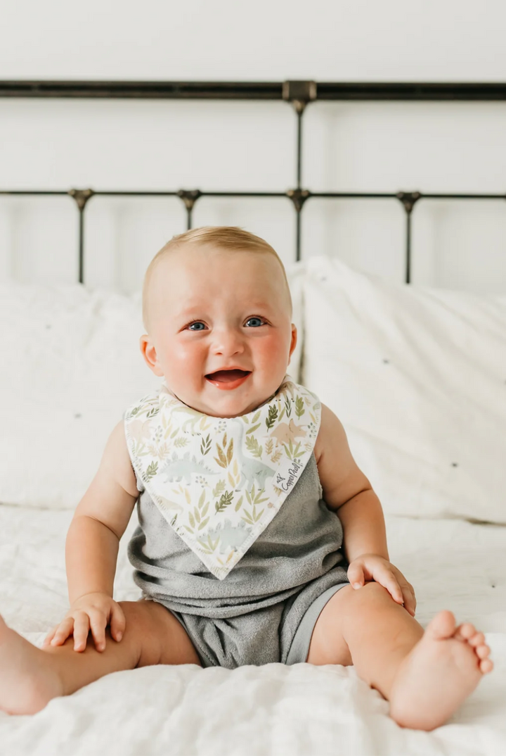 Rex Bandana Bib Set (4-Pack) | Copper Pearl