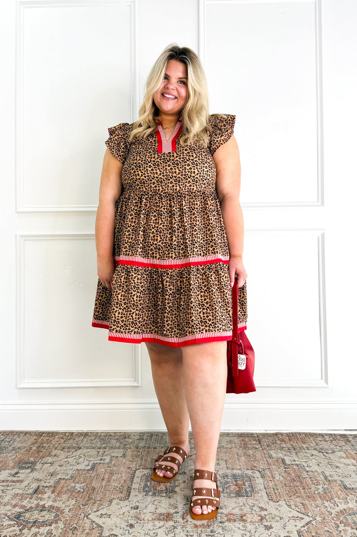 Curvy Leopard Tiered Dress with Contrast Stripe Detail