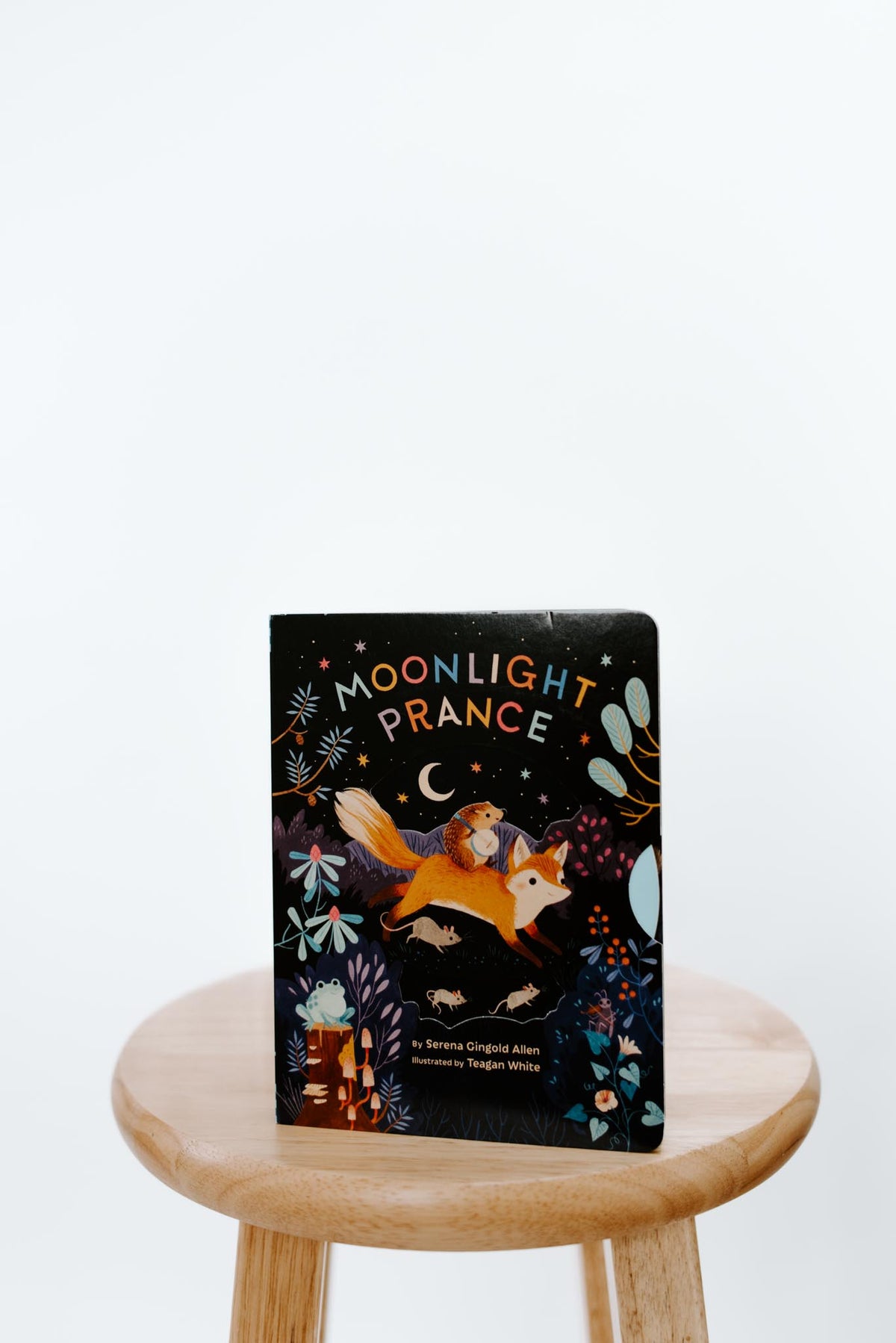 Moonlight Prance Interactive Book
