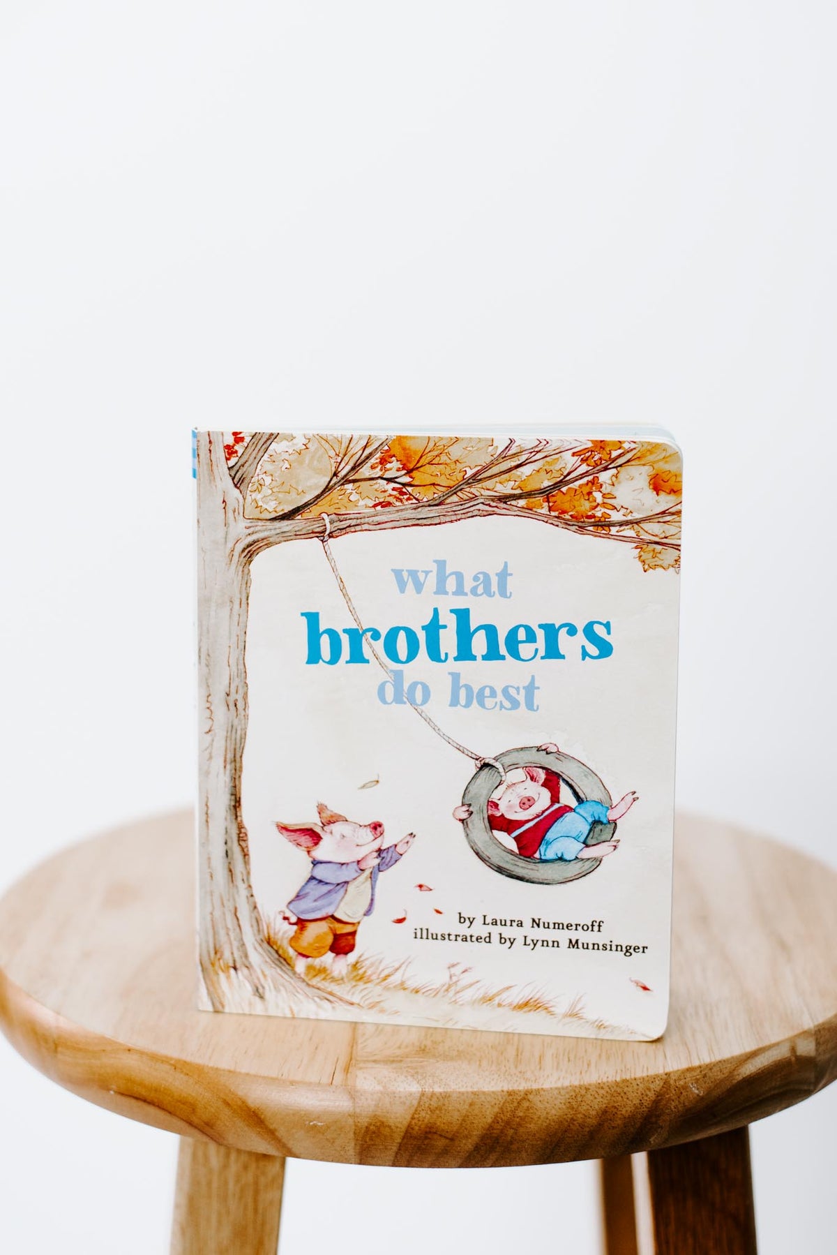 What Brothers Do Best Board Book