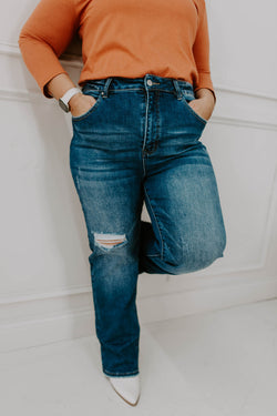 Shawna Curvy Distressed Straight Jeans | Risen