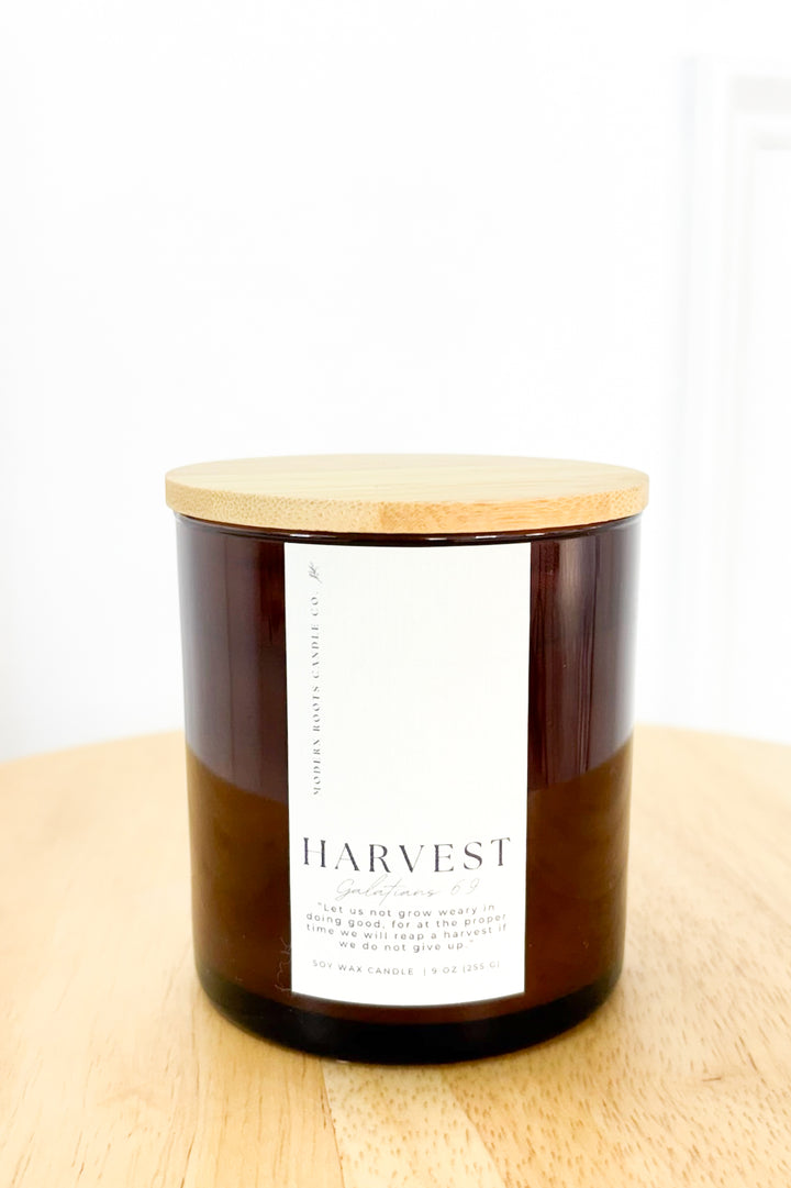 Modern Roots 9 oz. Soy Candle | Fall Scents