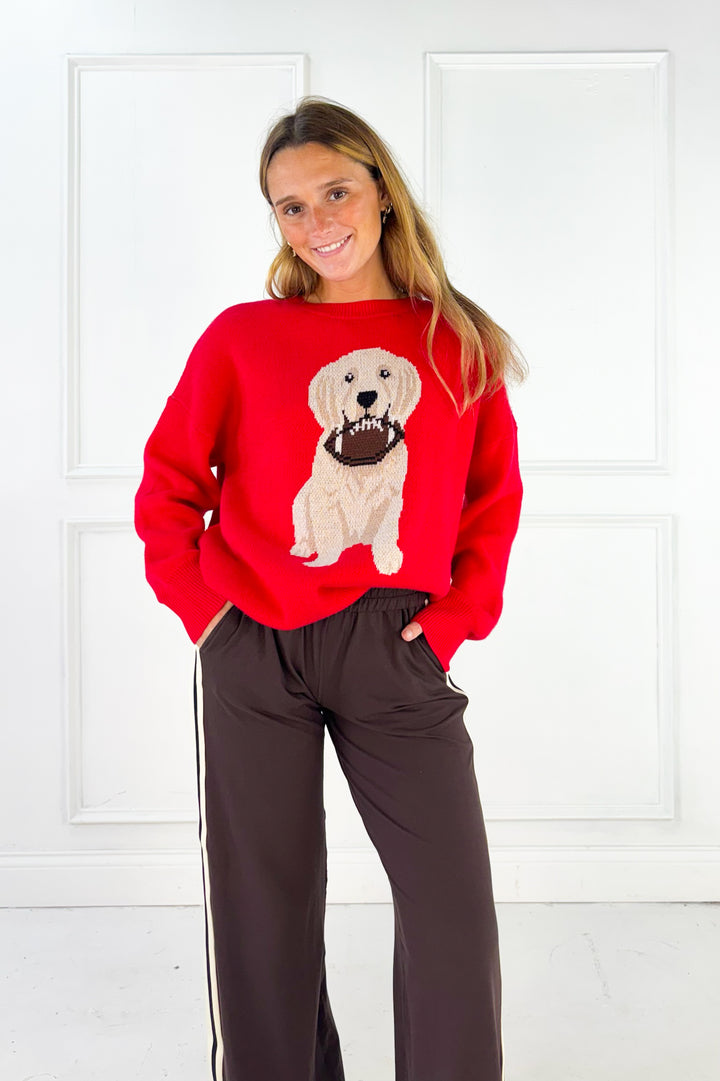 Game Day Pup Oversized Sweater
