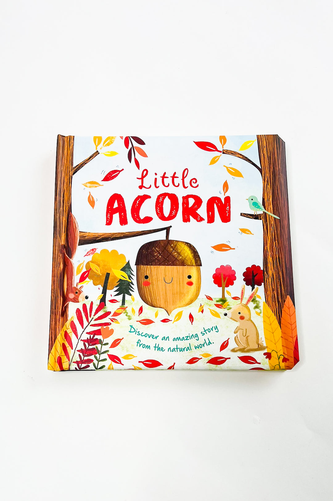 Nature Stories: Little Acorn