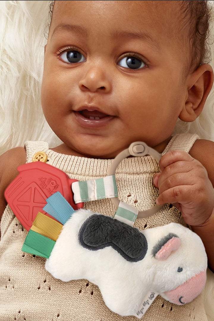 Itzy Ritzy | The Pal Cow