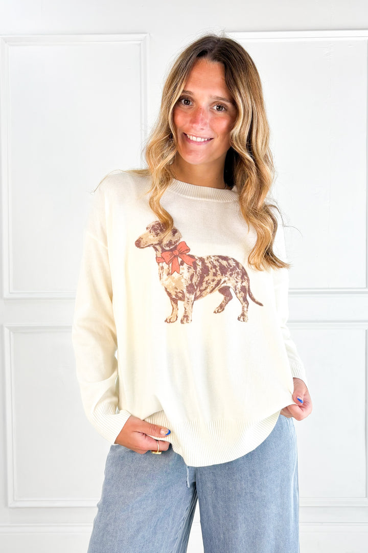 Lightweight Dachshund Sweater