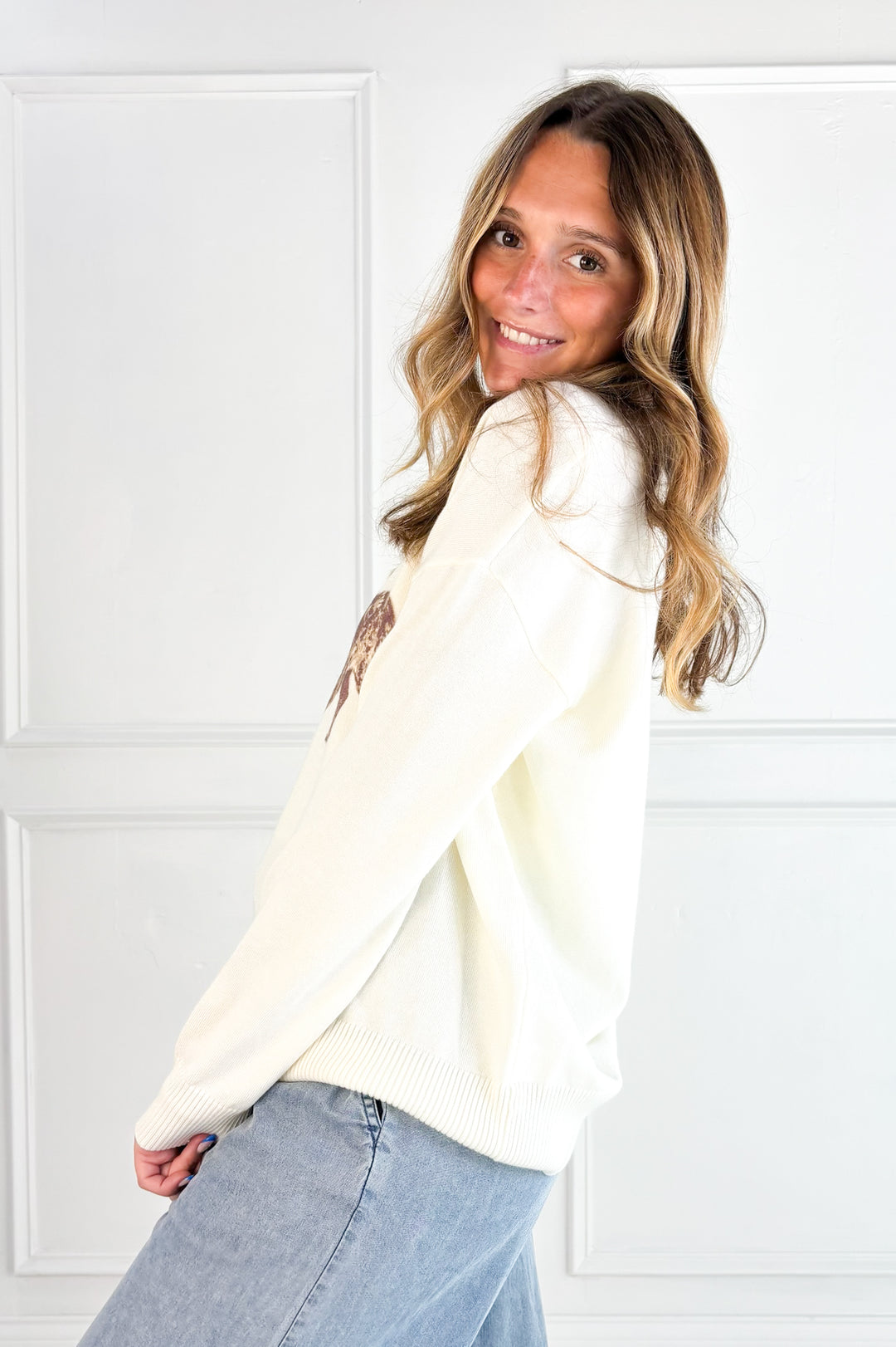 Lightweight Dachshund Sweater