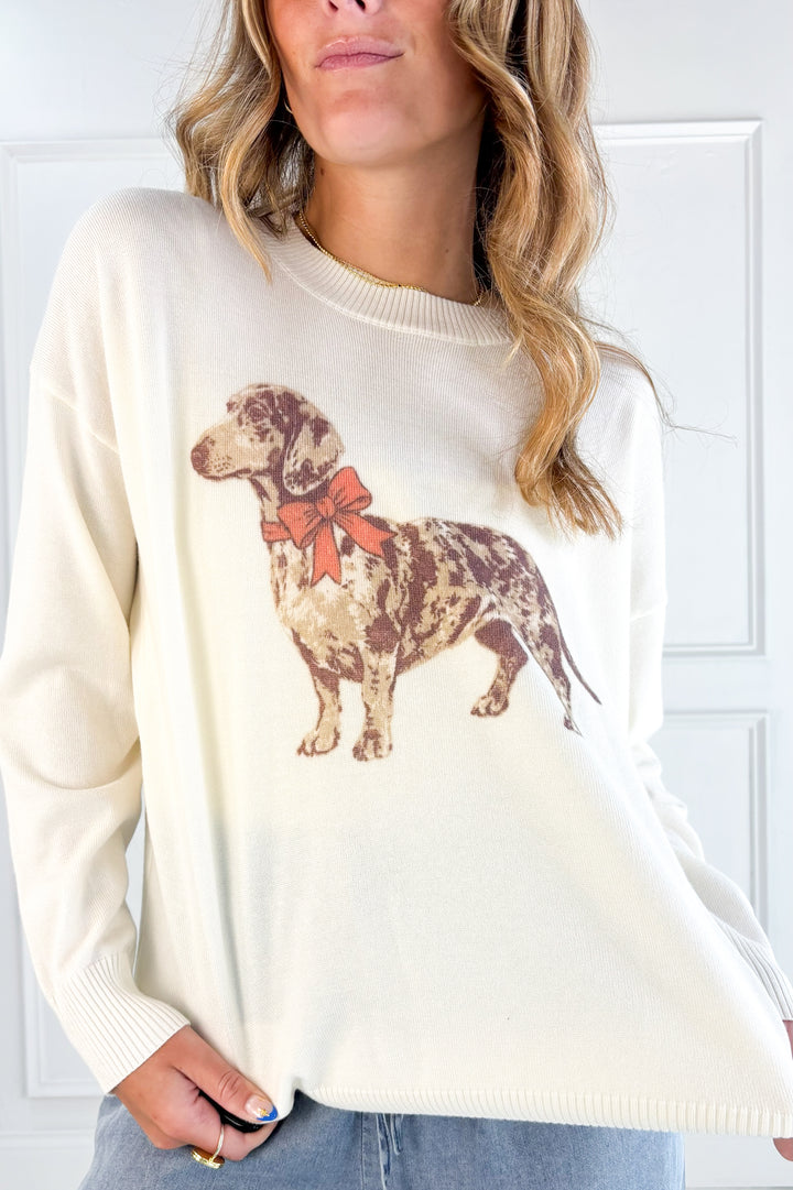 Lightweight Dachshund Sweater