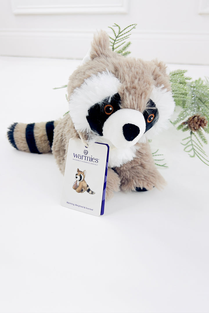 Raccoon- Junior Warmies
