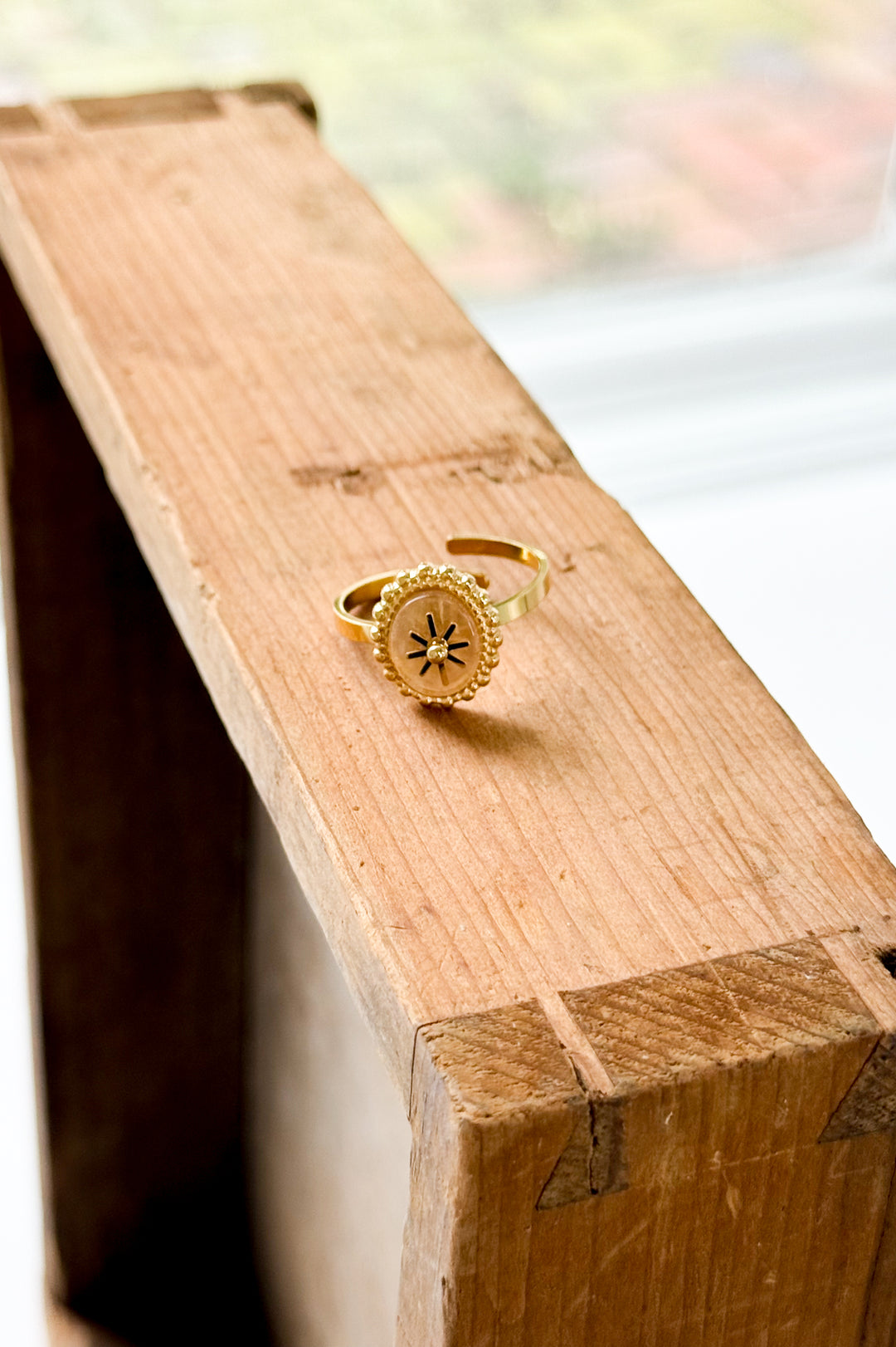 Desert Rose 14K Gold Adjustable Round Stone Ring