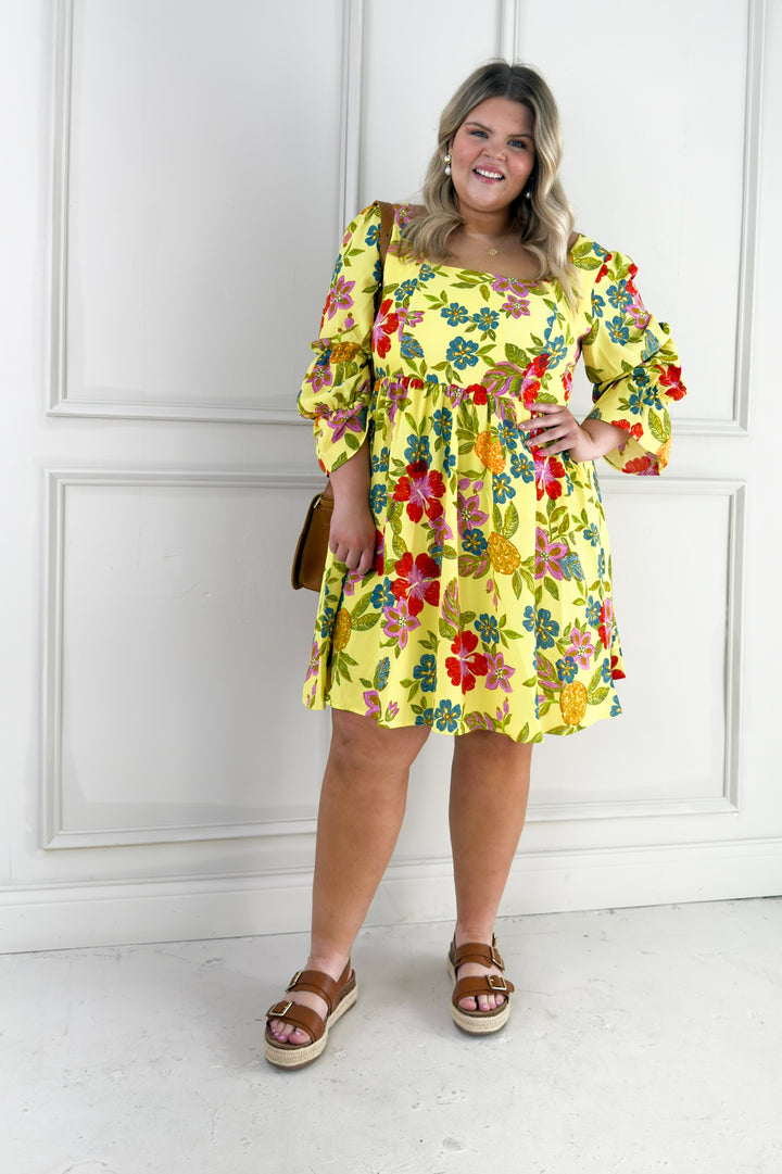 Bold Floral Embroidery Printed Mini Curvy Dress