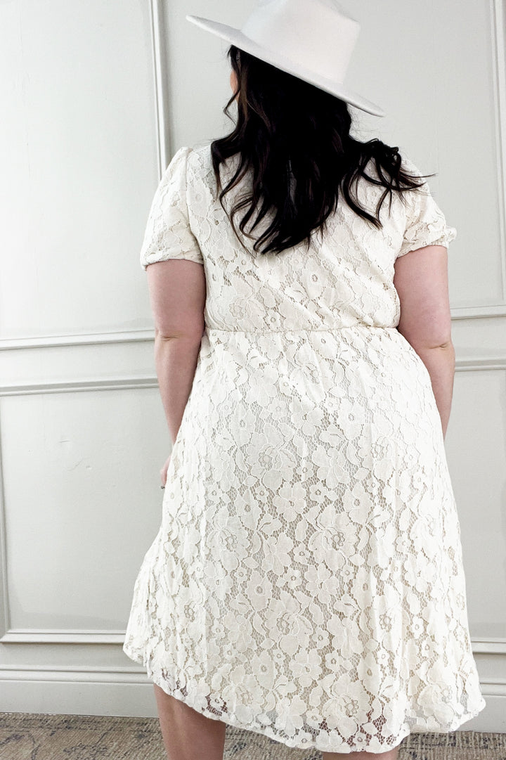 Lace Fit And Flare Dress