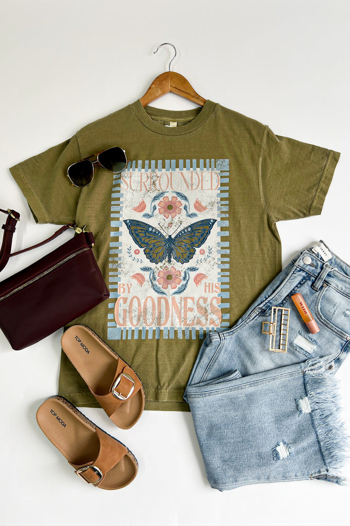 Surrounded By His Goodness