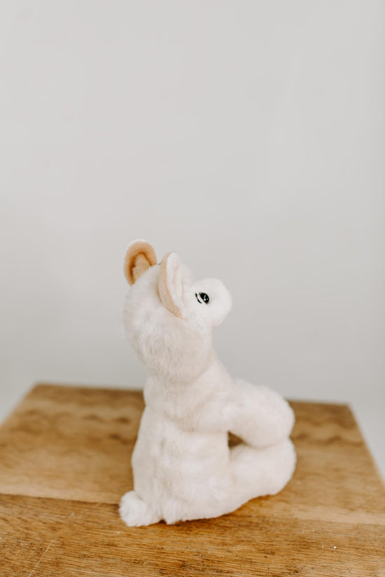 Load image into Gallery viewer, Medium Plush Animals | Llama
